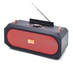 Fepe FP-21 р/п (USB,Bluetooth)