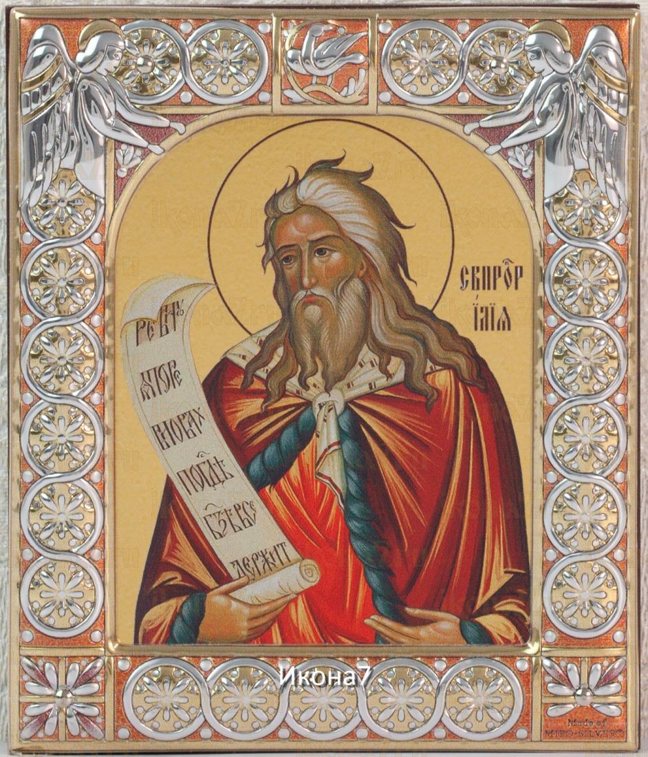 Икона Пророк Илия (9х10,5см)