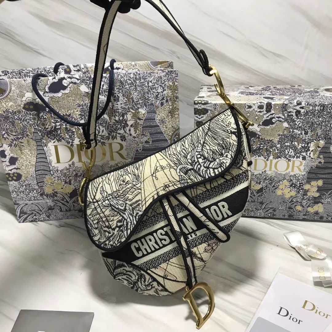 Dior Saddle Bag 25,5 cm
