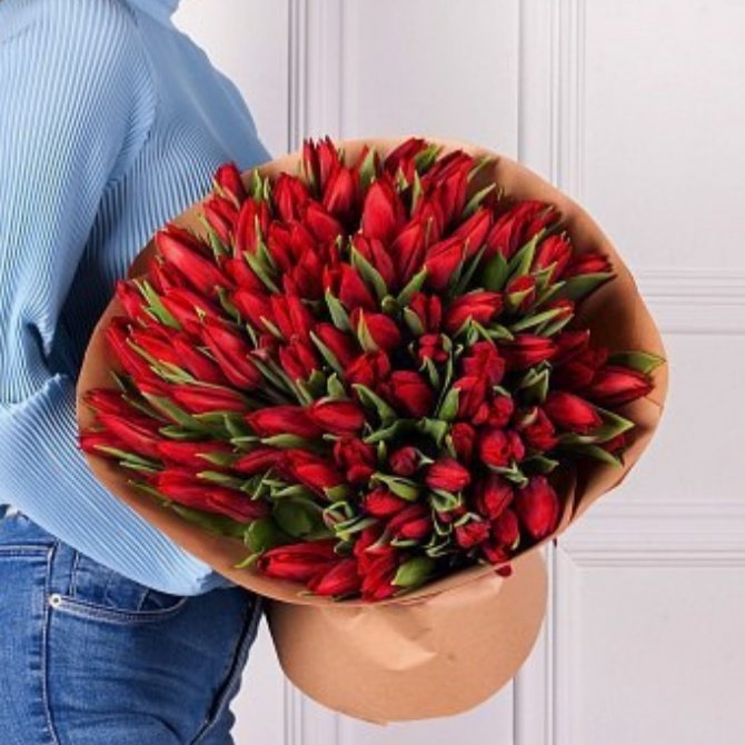 Тюльпаны 101 шт (красный)