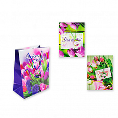 Пакет подарочный бумажный, глянцевый "Цветы", 28х21х12 см, 4 вида в ассортименте (арт. S 2557)