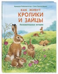 Как живут кролики и зайцы