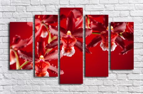 Модульная картина Красные орхидеи