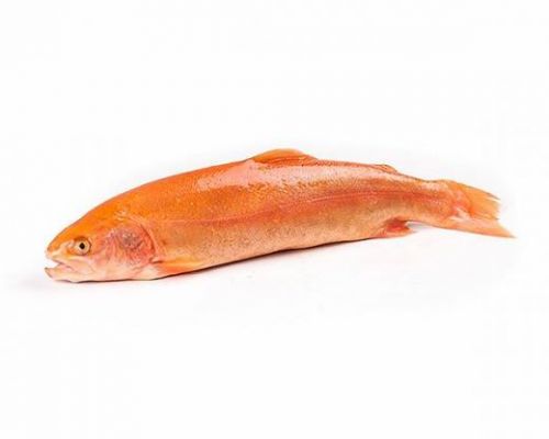 Forel (qırmızı) 1 kg