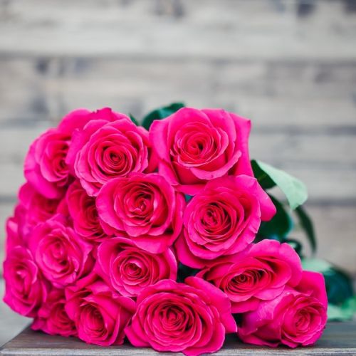Малиновые розы Эквадор 50см