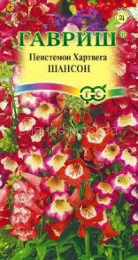 Пенстемон Шансон, смесь (Гавриш)