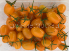 Tomat-Oranzhevye-Slivki-Myazina