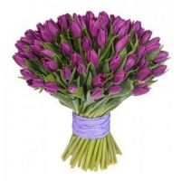 Фиолетовые тюльпаны под ленту