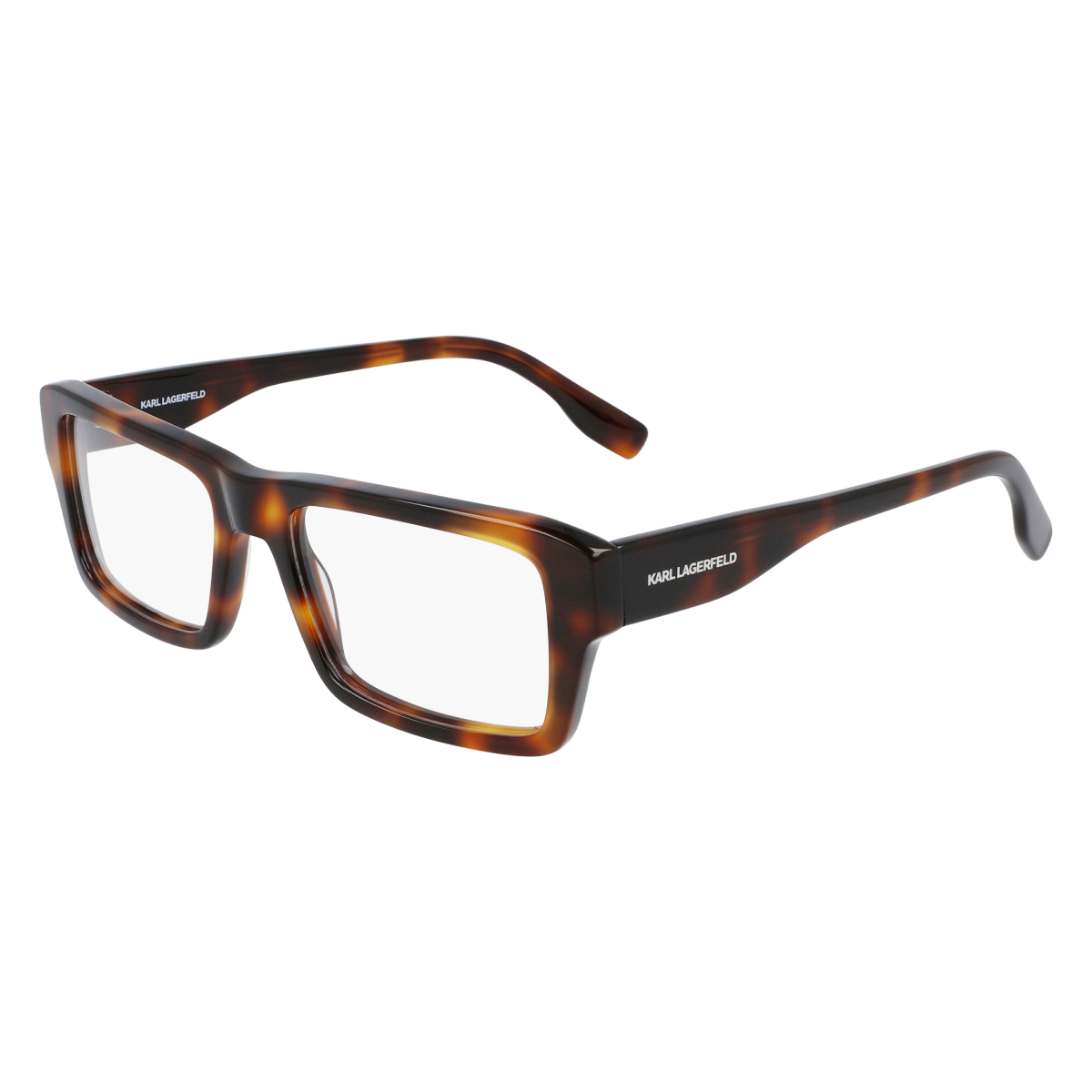 Очки KARL LAGERFIELD (Карл Лагерфельд) KL 6031 215
