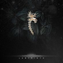 PLEMЯ — Labyrinth