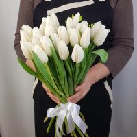 25 тюльпанов с лентой (цвет можно выбрать)