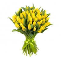 Желтые тюльпаны (от 15 шт)