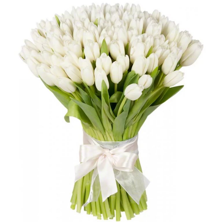 Тюльпаны белые (от 15 шт)
