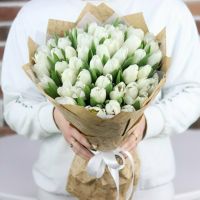 Белые тюльпаны в упаковке (от 15 шт)