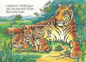Амурский тигр .Охрана Природы. Почтовый блок Россия 1992  Чистый
