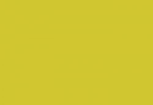 HPL-панель для чистых помещений LM 0055 Желтый галлион (Clean Room)