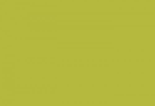HPL-панель для чистых помещений LM 0016 Зелено-желтый лайм (Clean Room)