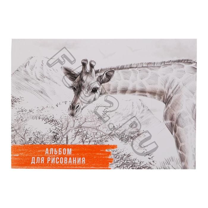 Альбом для рисования А4, 40 листов на склейке "Жираф", обложка мелованный картон, блок 100 г/м2