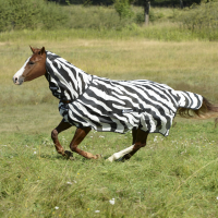 Антимоскитная попона с капором Bucas Buzz-Off Zebra