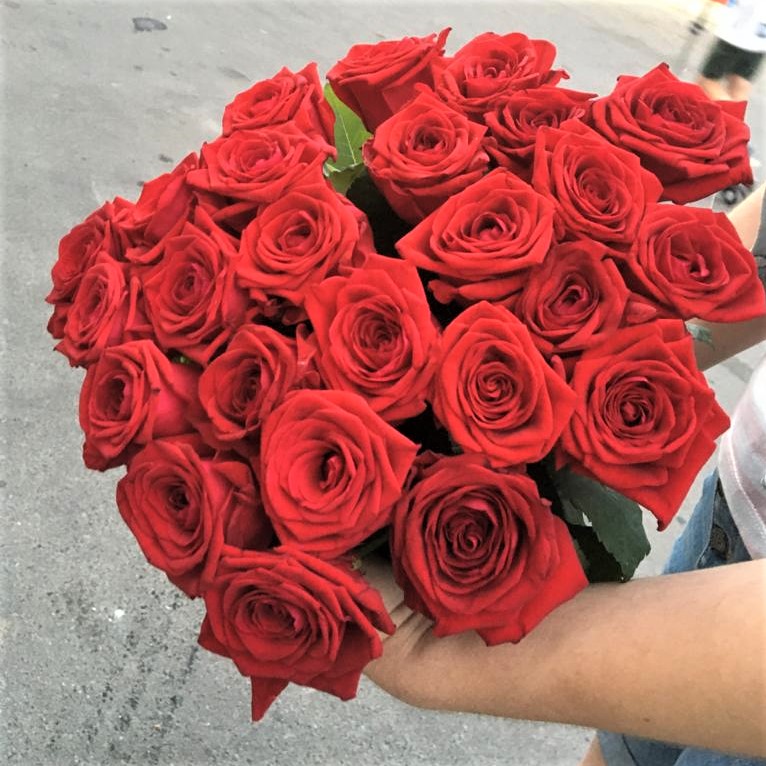 Розы красные с крупным бутоном длина 50-60 см