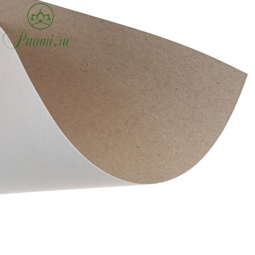 Картон белый А4, 24 листа «Панда», односторонний, немелованный, 200 г/м2, в пакете