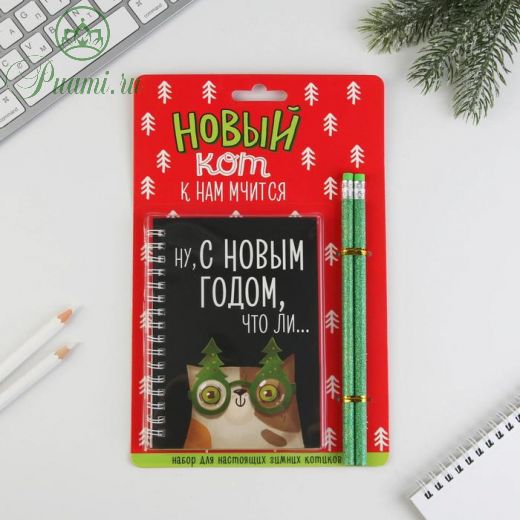 Набор «Новый кот к нам мчится»: блокнот на спирали и 2 карандаша