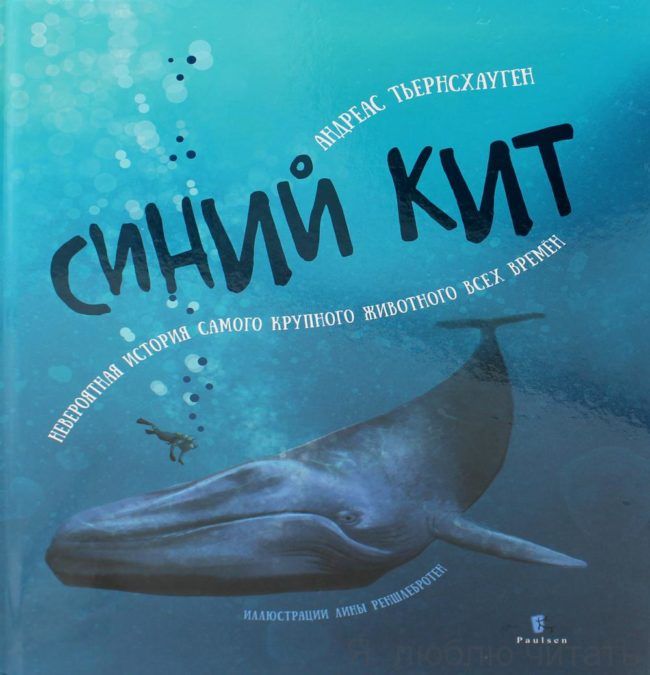 Синий кит: невероятная история самого крупного животного всех времен