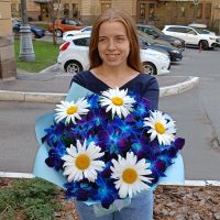 Космос с ромашками