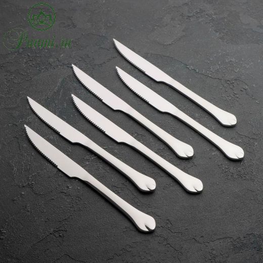Набор ножей для мяса Доляна «Капля», 22,5 см, 6 шт