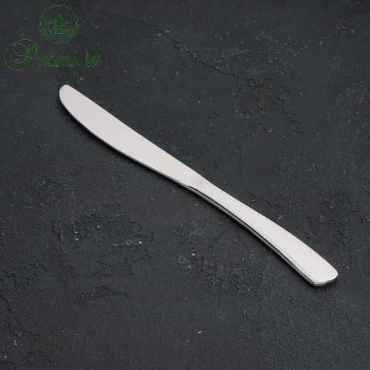 Нож столовый Magistro «Эми», 22,6 см