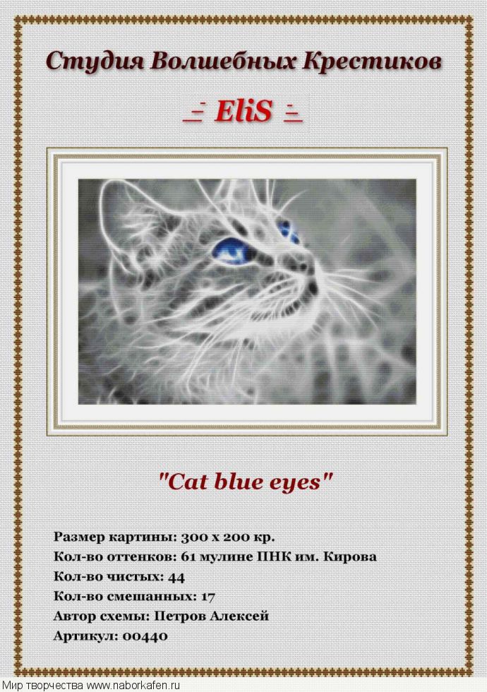 00440 Cat blue eyes