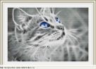Набор для вышивания "00440 Cat blue eyes"