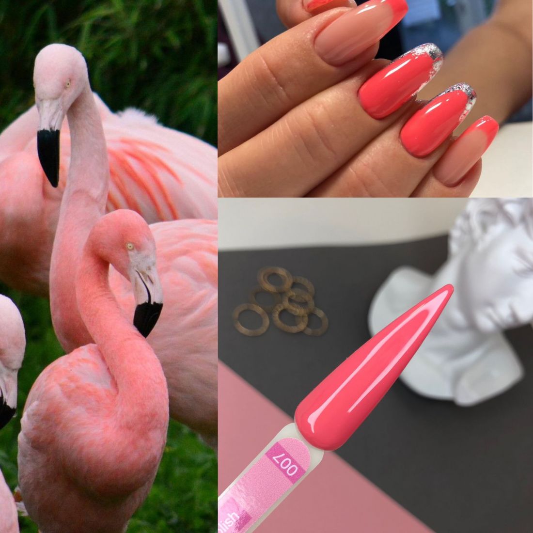 Гель-лак BioLucky Flamingo №007