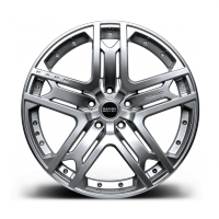 Silver Platinum - 9.5*22