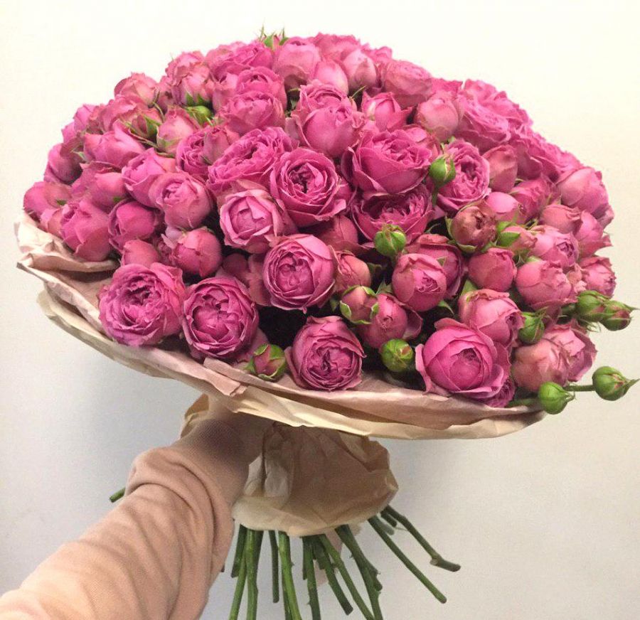 25 веток кустовой пионовидной розы сорт "Мистик Баблс"