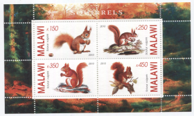 Блок марок Малави 2010 Белки