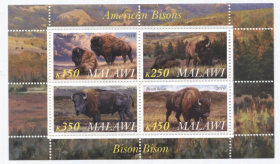 Блок марок Малави 2010 Американские бизоны