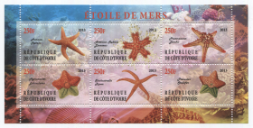 Блок марок Кот-д Ивуар 2013 Морские звезды