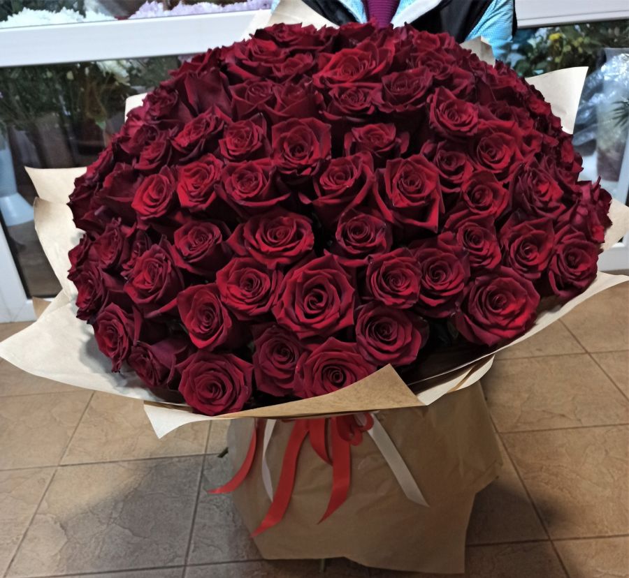 101 темно-красная роза 70 см