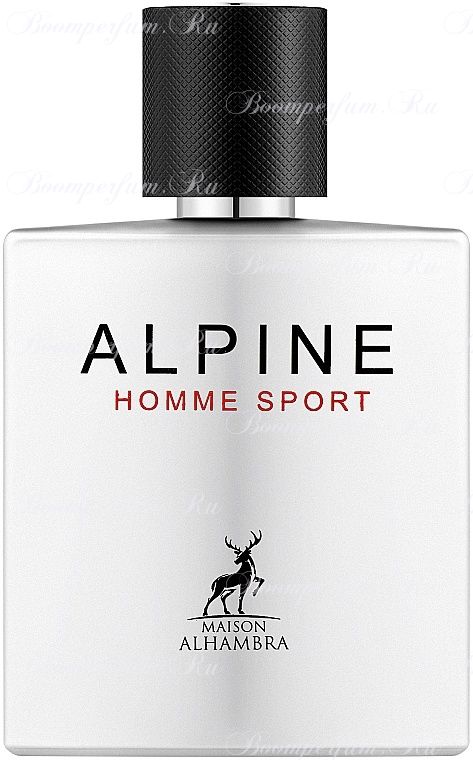 Alhambra Alpine Homme Sport