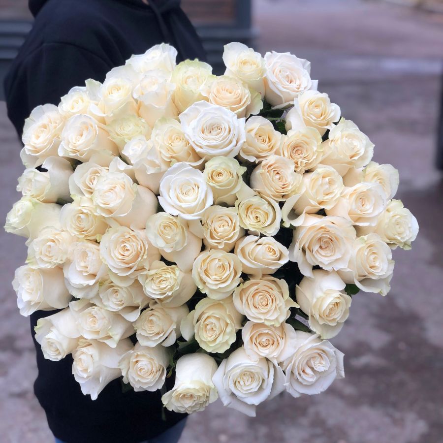 Розы белые Эквадор Премиум