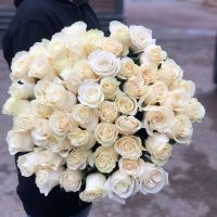 Розы белые Эквадор Премиум