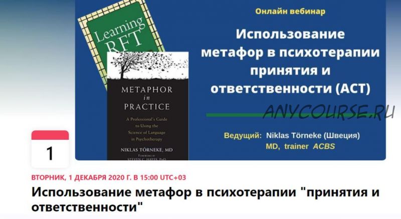 Использование метафор в психотерапии принятия и ответственности ACT (Никлас Торнеке)