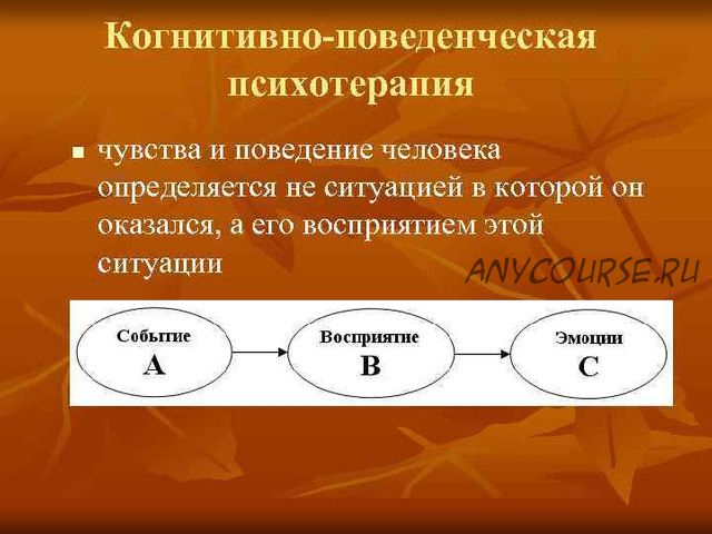 КПТ в работе с пациентом с психосоматическим заболеванием (Ирина Бубнова)