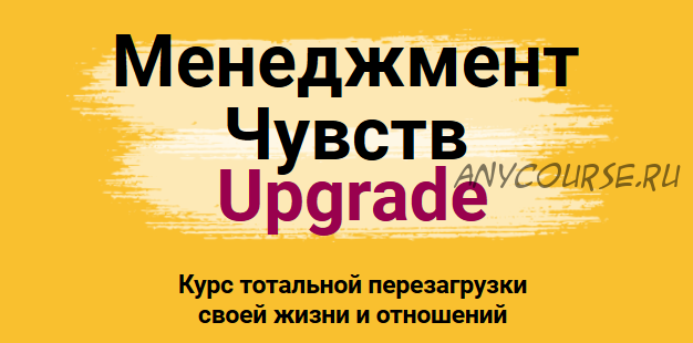 Менеджмент Чувств Upgrade. Тариф Стандарт. 2020 год. (Игорь Погодин)