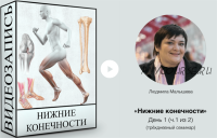 Нижние конечности (Людмила Малышева)