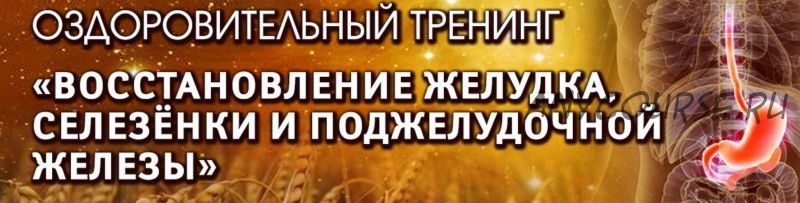 Оздоровительный тренинг 'Восстановление желудка, селезенки и поджелудочной железы'. Пакет 'Вип' (Владимир Осипов)