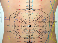 Показания к применению пяти античных точек (У Шу точки) (Ван Вэй)