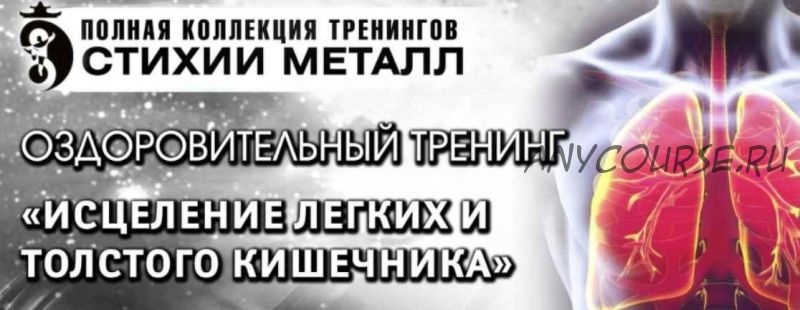 Тренинг «Стихия Металл?». Шаг №1. Исцеление легких и толстого кишечника. Блок Вип (Владимир Осипов, Сергей Зайцев)