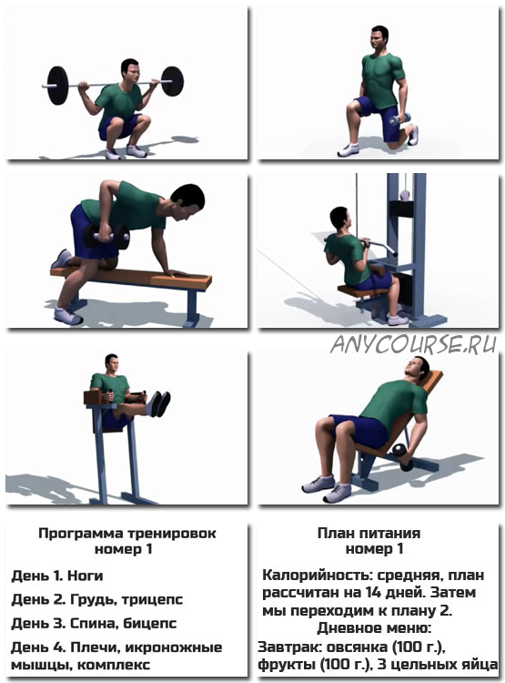 Your fit gym (Александр Добромиль)